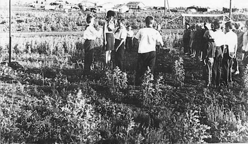 Пионерский лагерь в Симоновке