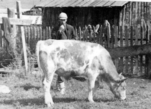 Что делать?