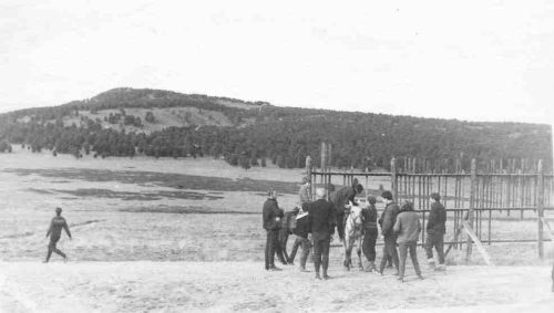 Семинский перевал