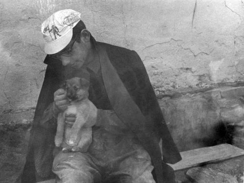 Чака. Продолжая тему воспитанников 