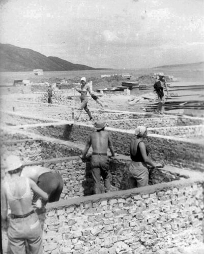 Хозяйство Ларисы Блинде. Пашем. 